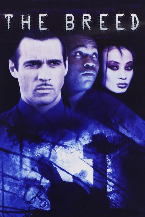 The Breed (2001) BluRay Dual Audio Full Movie {Hindi-English} 480p [300MB] | 720p [800MB] | 1080p [1.8GB]